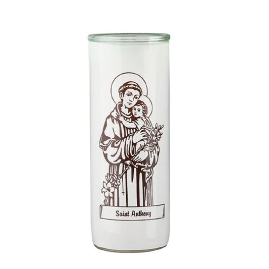 dadant-candle-saint-anthony-glass-globe-case-of-12-globes-461859